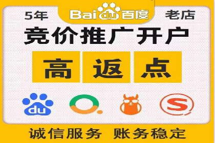 百度SEO推广策略：如何快速提升网站排名？——案例详解